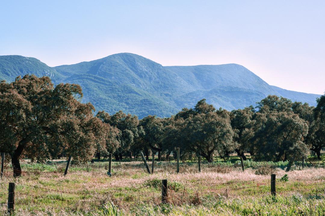 Arrábida Natural Park
