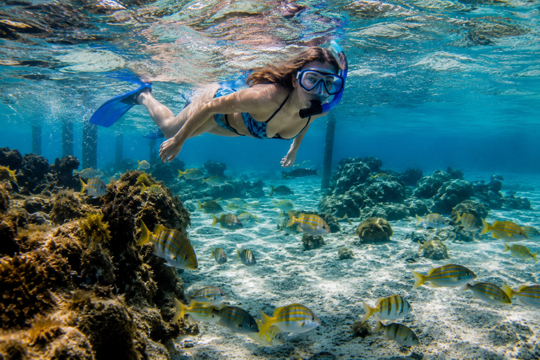 Snorkeling at Mangel Halto