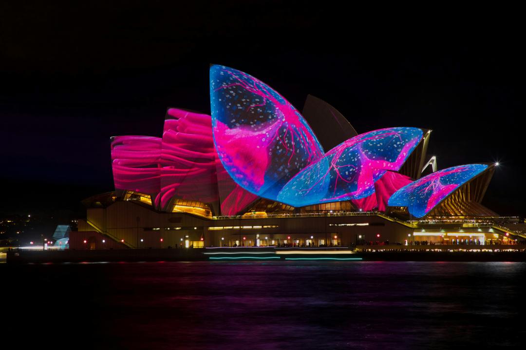 Vivid Sydney