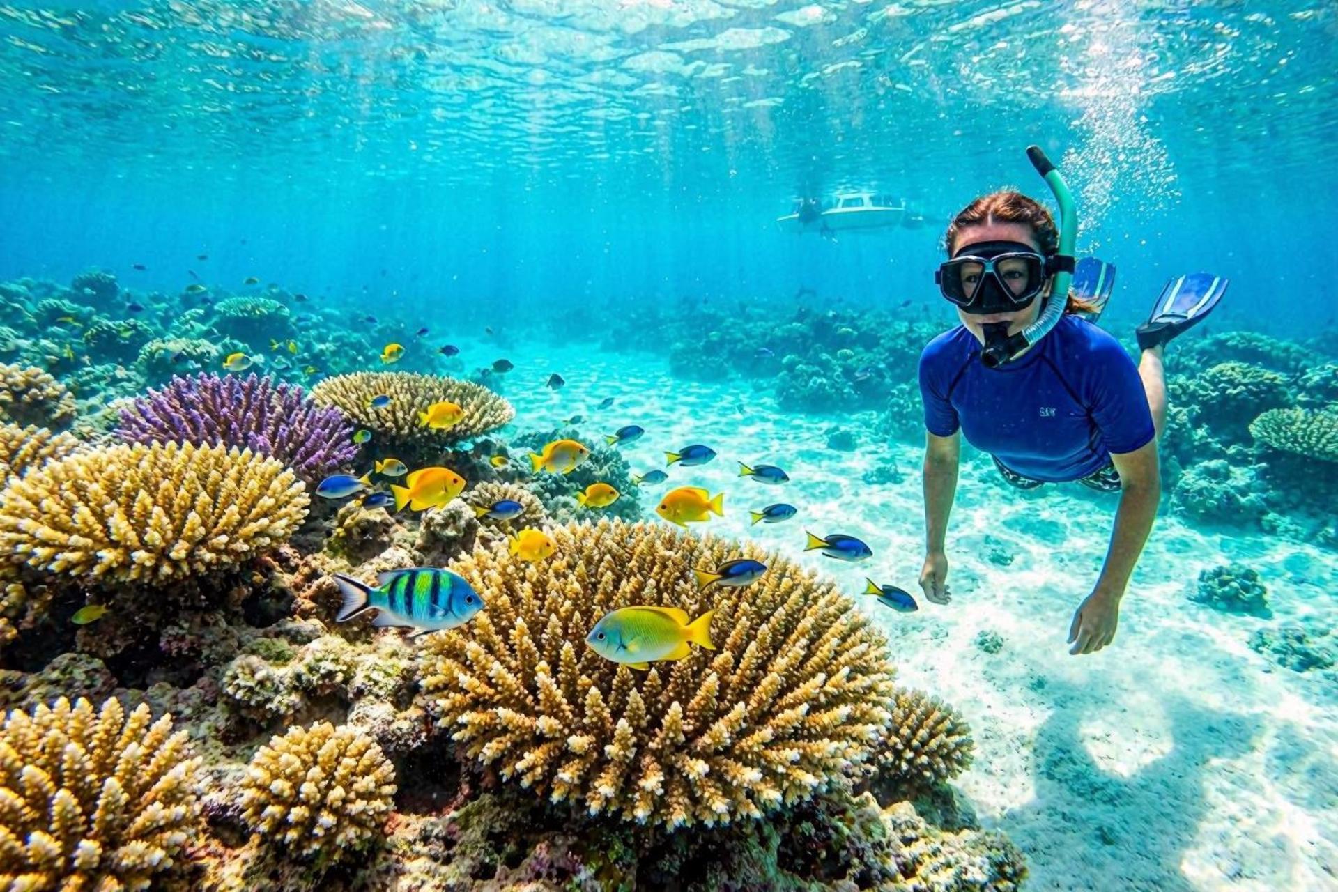 Snorkeling at Cades Reef