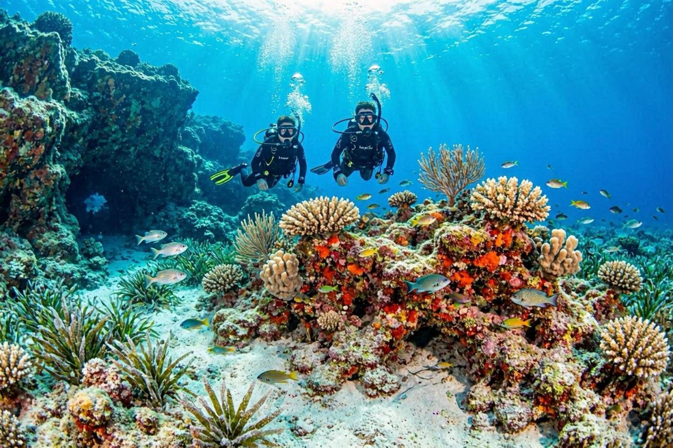 Diving in Sardinia