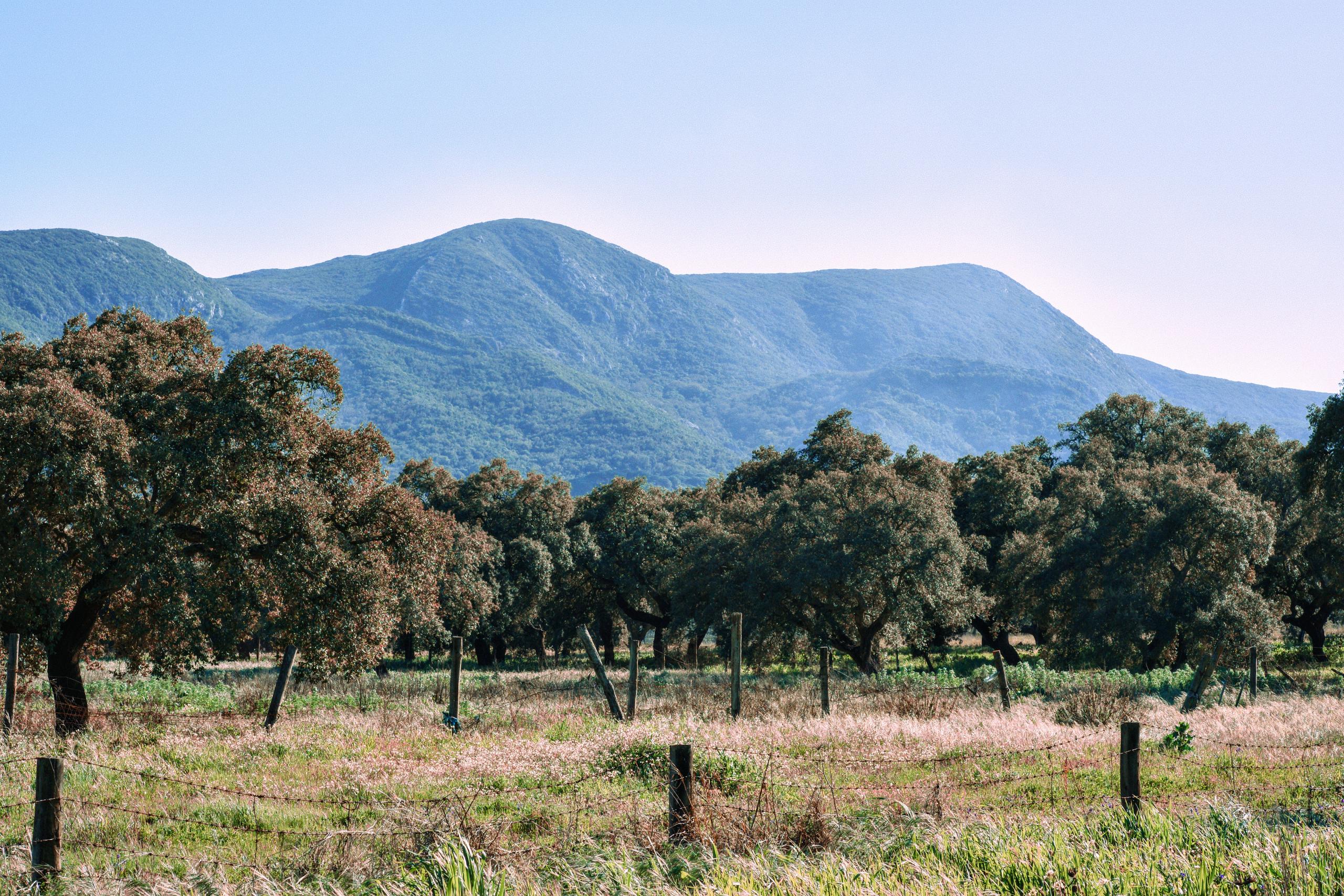 Arrábida Natural Park