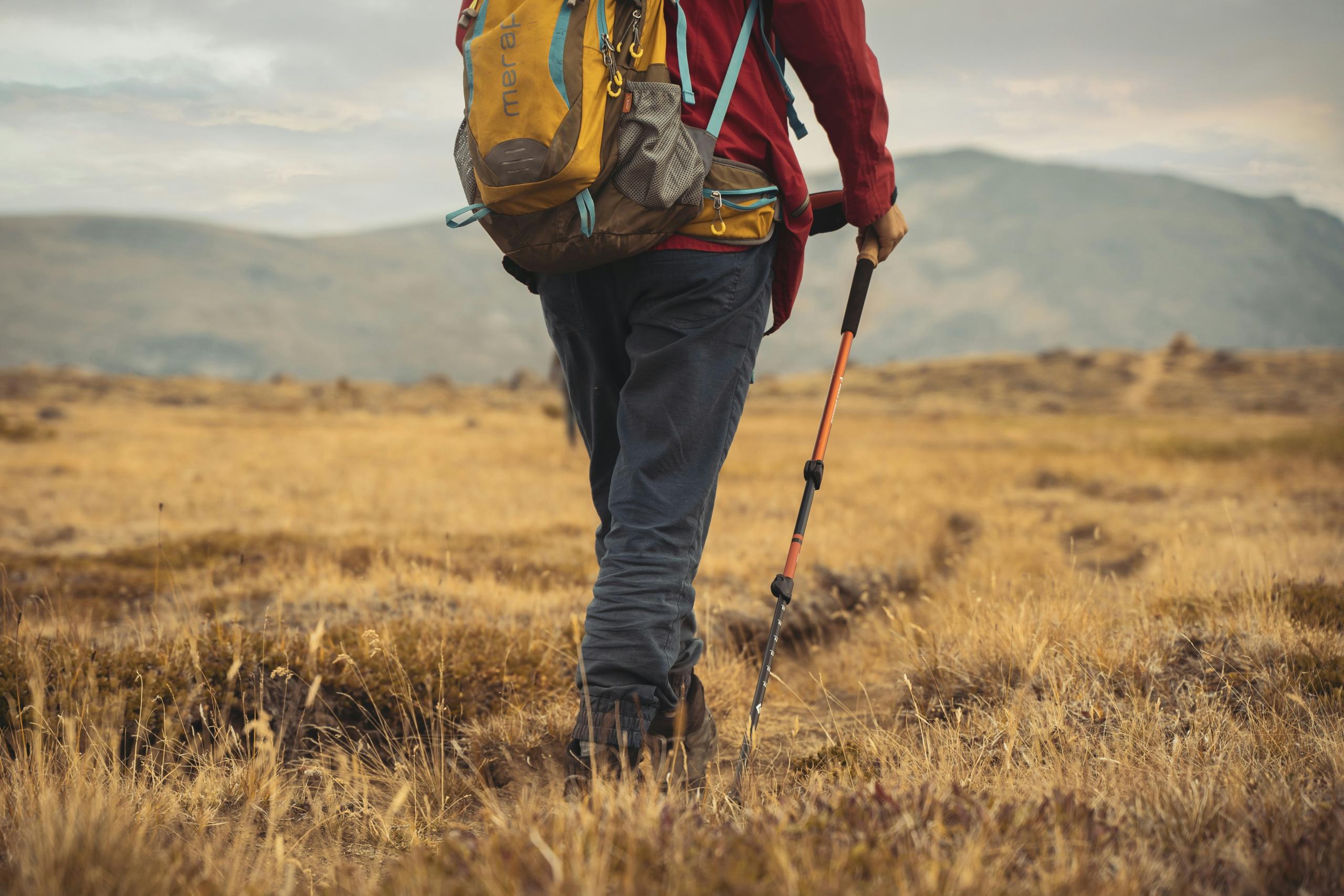 Trekking Poles — Hiking travel essential