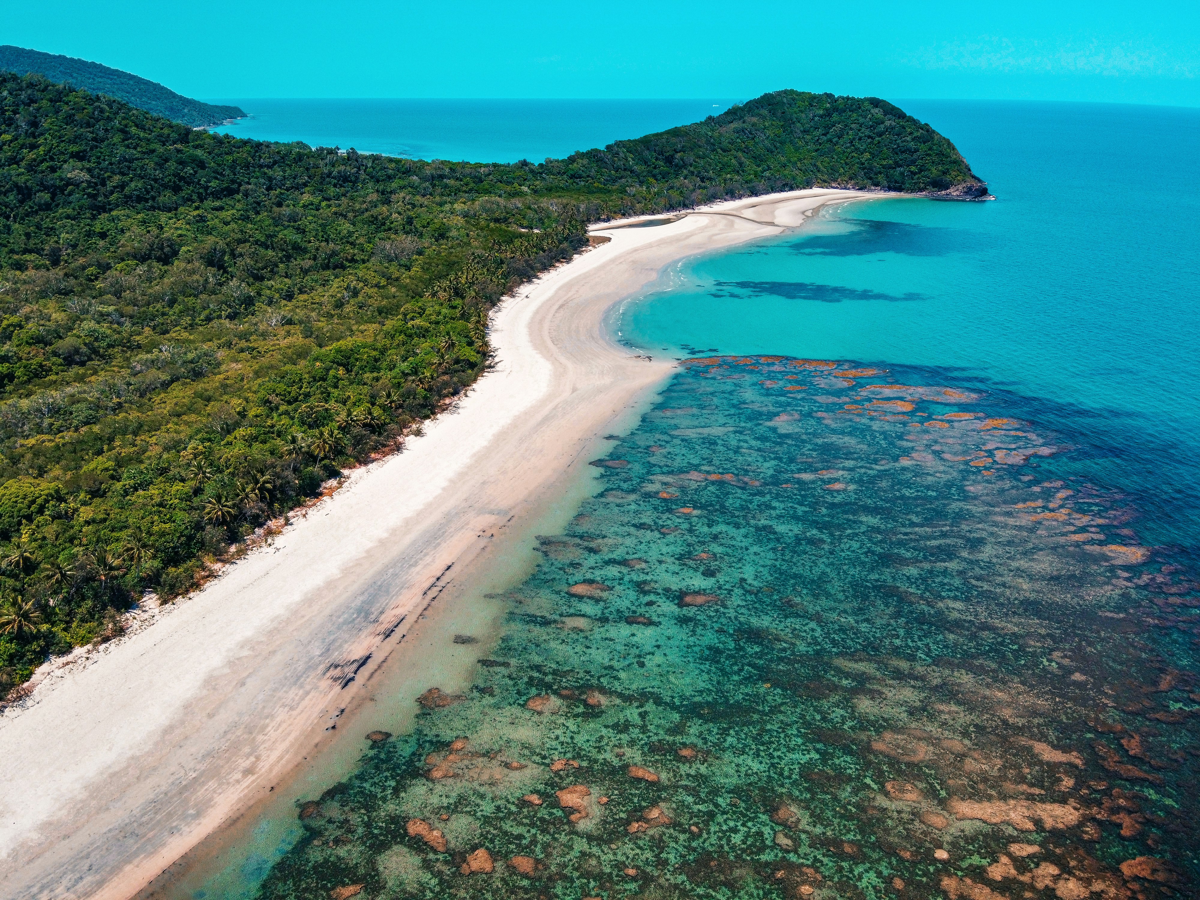 Aerial view of vibrant coral formations in the Great Barrier Reef, Queensland, Australia
