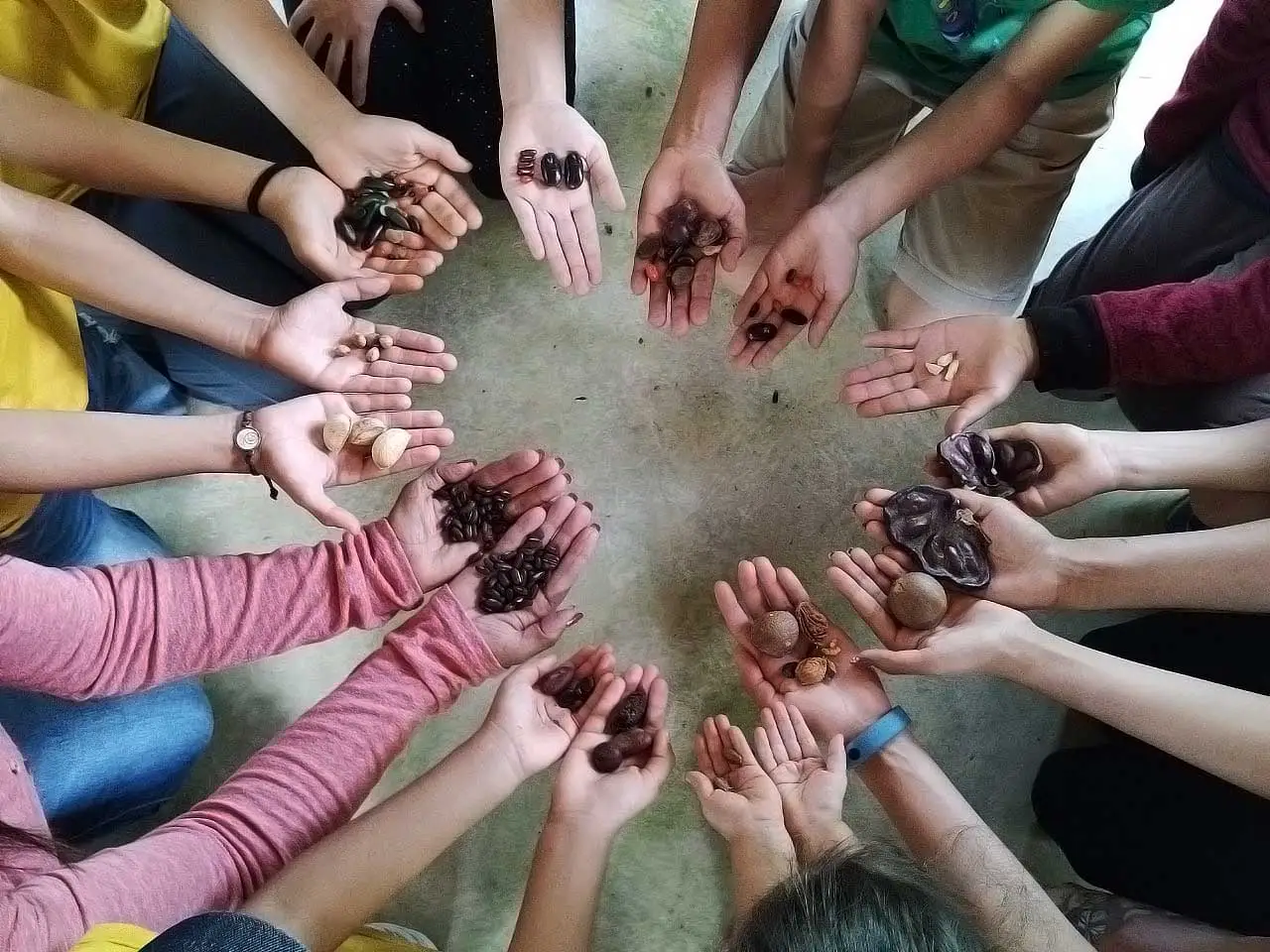 Personas mostrando sus manos y tienen en sus palmas de sus manos diferentes objetos como figuras de mariposas entre otros, hechos con barro