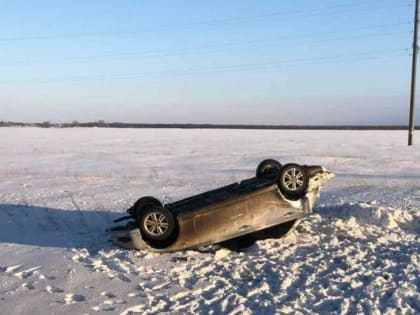 Под Пугачевом 