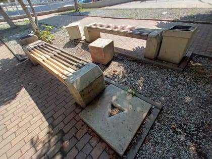 "Что у людей в головах?". Саратовцы возмущены вандализмом в каштановой аллее