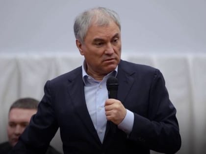 Володин предложил разработать новые программы развития села