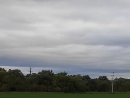 В Саратове пройдет небольшой дождь
