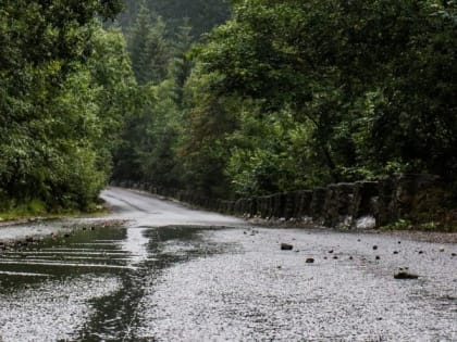 Рабочая неделя в Саратовской области завершится дождями