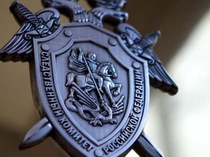 Житель Балаково стал фигурантом уголовного дела за критику Дня Победы