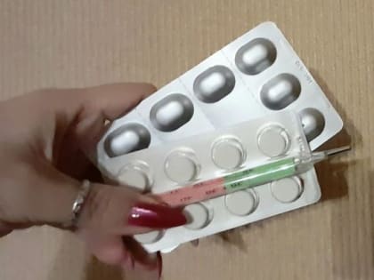 Саратовцам рассказали, как действовать, если в семье болеют гриппом