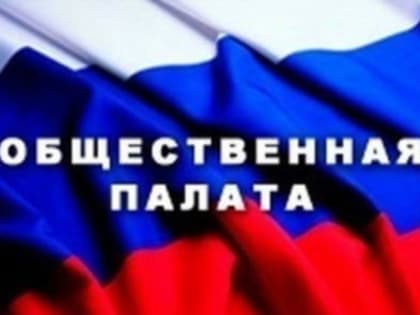 Выборы новых членов Общественной палаты Балаковского района