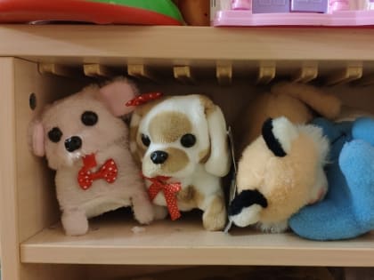 Льготы для многодетных. Закон Бусаргина оказался нерабочим, облдума примет новый