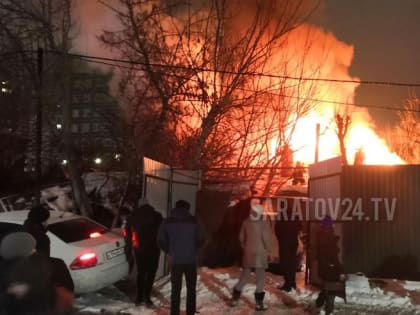 Из горящего дома в Саратове соседи спасли кота