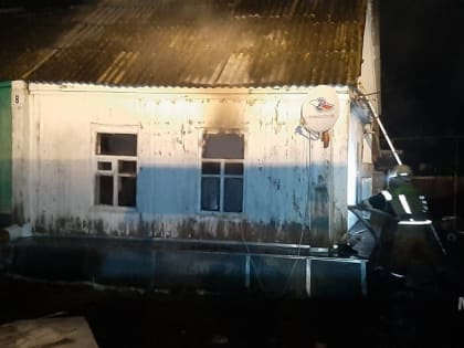 В Саратовской области на пожаре пострадали трое малолетних детей