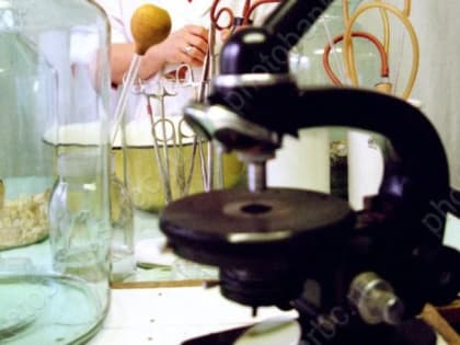 Названы самые убыточные экономические сферы области