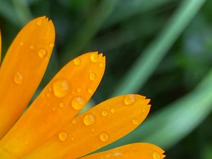 В Саратовской области прогнозируют кратковременный дождь и усиление ветра