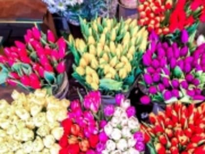 Начали свою работу краткосрочные ярмарки по продаже цветочной продукции, приуроченные к празднованию  8 Марта