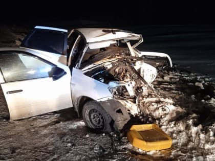 В ночном ДТП под Саратовом погибли шесть мужчин