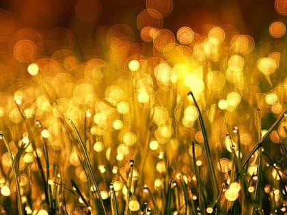 В Саратове ожидается пятничный дождь и небольшая облачность