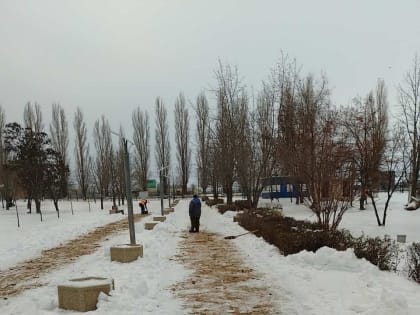 В Балакове снег и наледь очищают по ночам. Коммунальщики с утра посыпают дорожки песком с солью