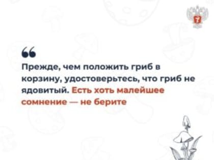 Собираемся за грибами правильно