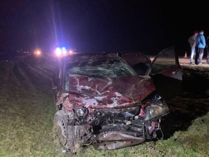 В Саратовской области три человека погибли в упавшем в кювет автомобиле