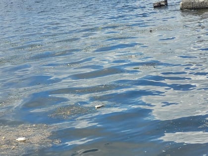 Спасатели вытащили из Волги тело утопленника