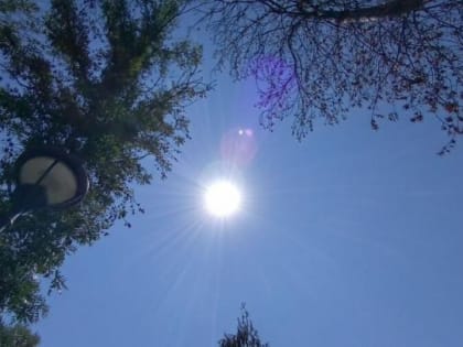 В Саратове воздух разогреется до +29 градусов