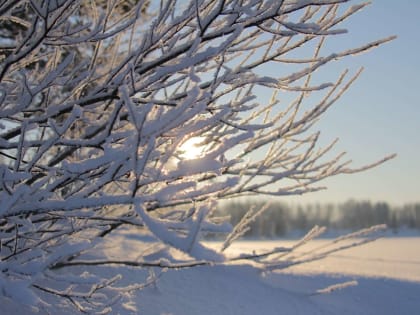 Морозный день с юго-восточным ветром ожидается для краснокутцев в четверг