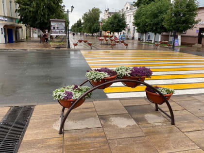 Жителей Вольска предупредили об энтеровирусе