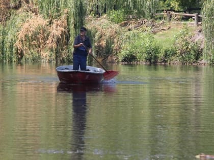 Энтеровирус и обмеление. В саратовском горпарке приостановлен прокат лодок