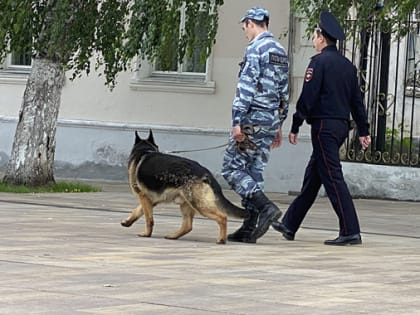 Житель Вольска украл у соседа инструменты и палатку