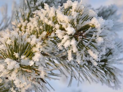 В день влюбленных саратовцам предсказали снегопад и туманы