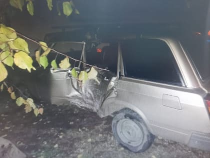 В Энгельсе "четверка" врезалась в дерево. Молодой водитель в больнице