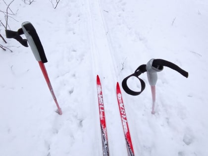 В Саратове на Кумысной поляне пропал ребенок-инвалид