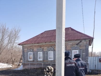 Саратовский военный заплатит штраф в 300 тысяч за убийство беременной свиньи и кабана