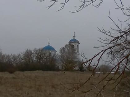 В выходные в Саратовской области станет теплее, но возможны осадки