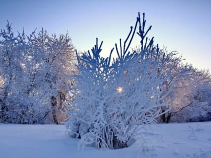 Оперативный прогноз погоды 9 января 2023 года