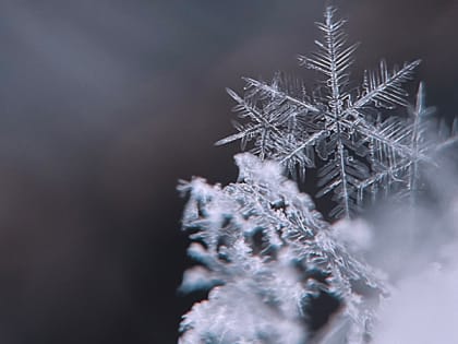 В школах Саратова отменяют занятия из-за морозов