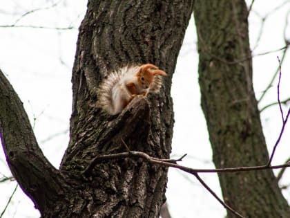В Саратове будет облачно, но тепло