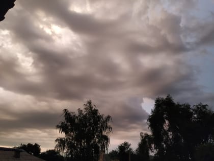 Сегодня в Саратове переменная облачность