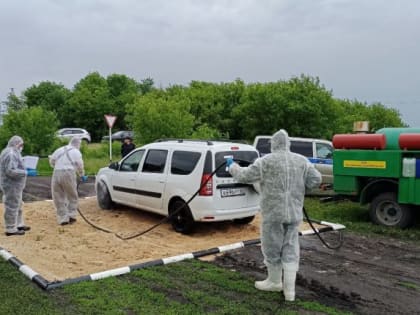 В Ртищевском районе прошли учения по ликвидации очага птичьего гриппа