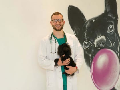 "Пусть ваши животные не болеют": ветеринарный врач из Саратова рассказывает о своей работе