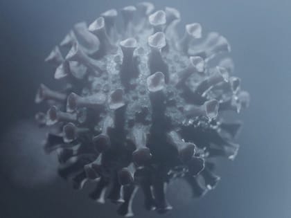 В Саратовской области за сутки коронавирус нашли у 47 человек