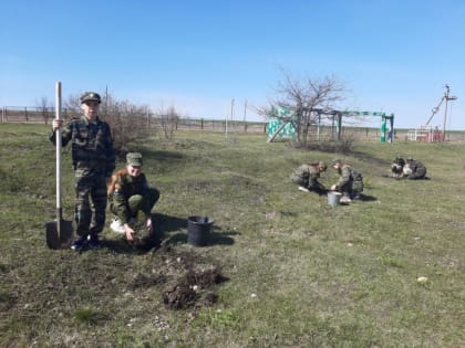 «Аллея выпускников» в Македоновской школе