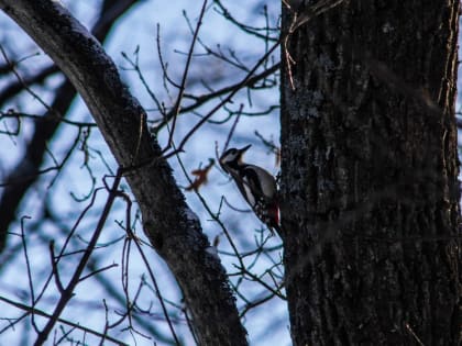 В Саратове еще теплее