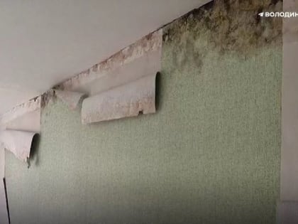 Главврач призвала не доверять объекты сдавшим дом с плесенью подрядчикам