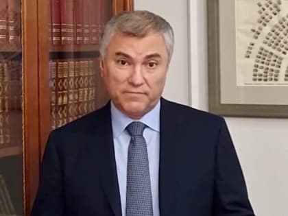 Вячеслав Володин провел опрос о запрете электросамокатов: большинство поддержали инициативу